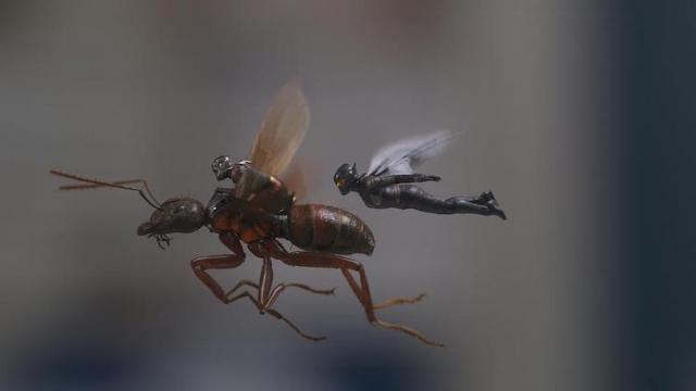 《蚁人2：黄蜂女现身》电影评价：剧本成功的连贯作品，值得一看